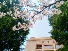 -武汉大学-樱园