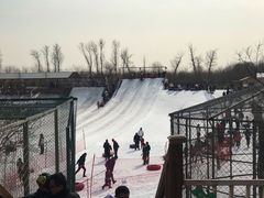 -北京鹿世界主题园