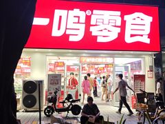 -赵一鸣零食(广州荔湾路店)