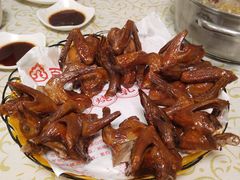 -百利鸽王(紫薇路店)