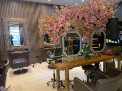 大厅-红人馆造型世爵国际