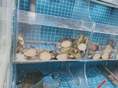 -宾朋海鲜饭庄(兴海路店)