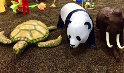 -佳贝爱益智主题儿童乐园(乐尔乐旗舰店)