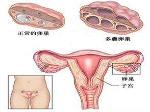 -邢台妇产医院
