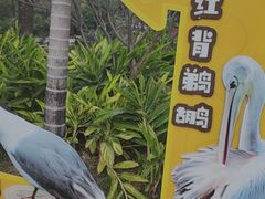 -蒙肥羊·酸汤潮牛·鲜牛肉火锅烤肉自助(岗顶店)