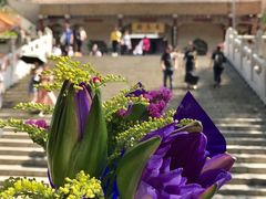 -深圳仙湖植物园