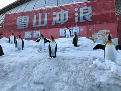 -沈阳奥体冰雪嘉年华