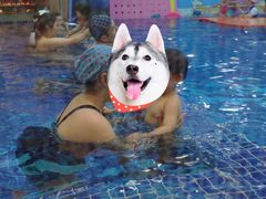-ABC Swim亲子游泳俱乐部(河西店)