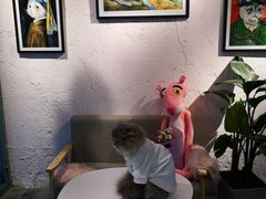 用餐区-喵屿·大理花园猫咖