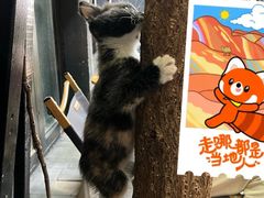 -古耳咖啡(北锣店)