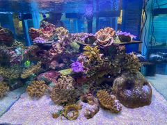 -上海海洋水族馆