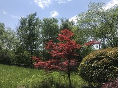 -南京市江宁方山