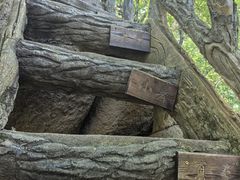 -五女峰国家森林公园