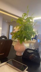 点击看大图 -栖SPA·ONDA ·海菲秀·皑皑科技美肤中心