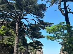 -黄山风景区
