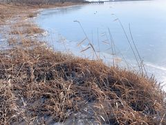 -天津东丽湖风景区