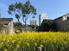 -绍兴鲁迅故里·沈园景区