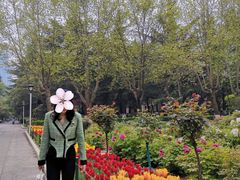 -陕西师范大学(雁塔校区)