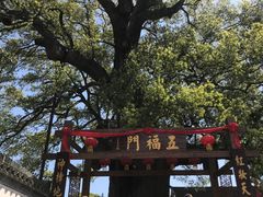 -新安江山水画廊风景区