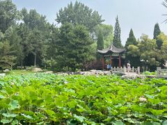 -晋祠公园