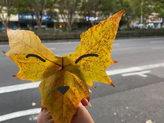 -杭州半山国家森林公园