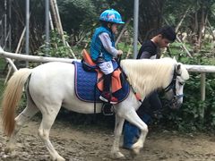 -迪茵湖田家舍生态农场