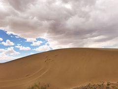 -金塔沙漠胡杨林景区
