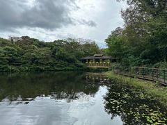 -济州森林小火车生态公园