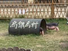 -乌村