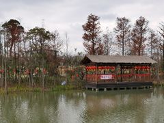 -上海长兴岛郊野公园