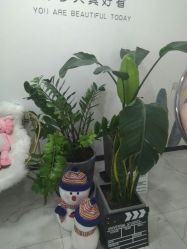 -久匠·野生眉半永久纹眉