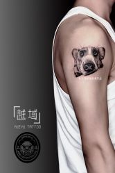 -越域刺青