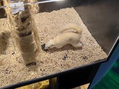 -太平洋海底世界