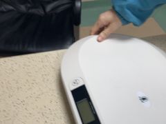 -动物缘宠物医院·骨科·猫科(西二环店)