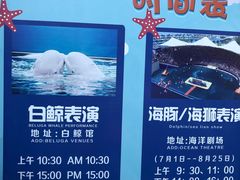 -秦皇岛乐岛海洋王国