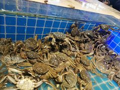 -万象·复兴号鲜肉烤肉海鲜自助(升级店)