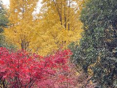 -岳麓山风景名胜区