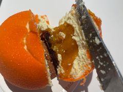 -TD66高山铁皮石斛养生茶饮