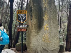 -南岳衡山风景名胜区