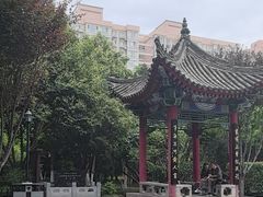 -莲湖公园