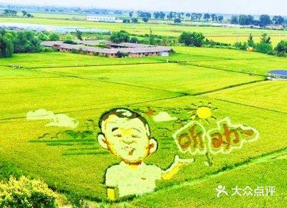 稻梦空间景点图片
