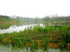 -白鹭湾湿地公园