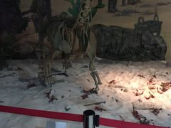 -龙塔