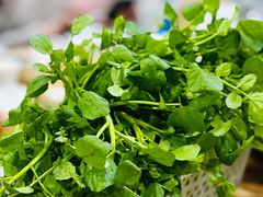 西洋菜-众源美食(光复阁店)