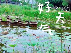 -石湖景区