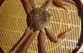 Snow Crab: Eight Dishes from One Crab