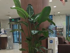 -中国民生银行(上海分行营业部)