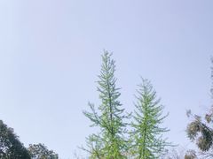 -四川大学(华西校区)