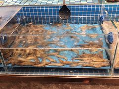 -蓝钻·国际美食海鲜自助百汇(西直门店)