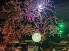 -韵秋荷(宝山龙湖天街店)